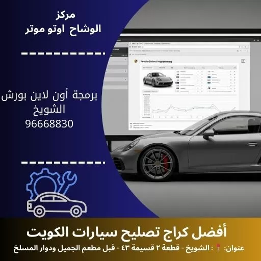 برمجة أون لاين بورش