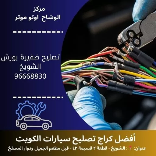 تصليح ضفيرة بورش