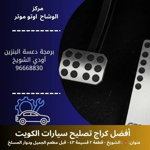 برمجة دعسة البنزين أودي