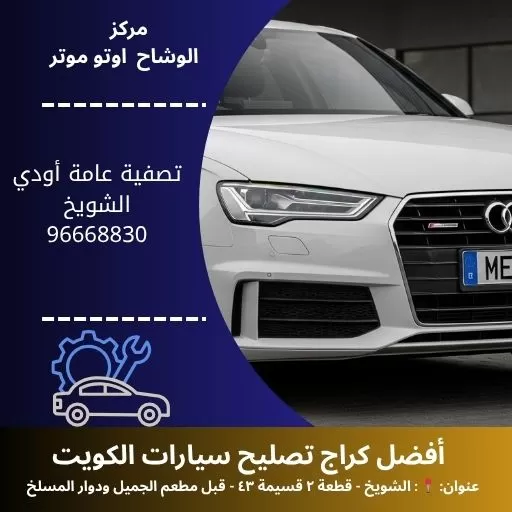 تصفية عامة أودي