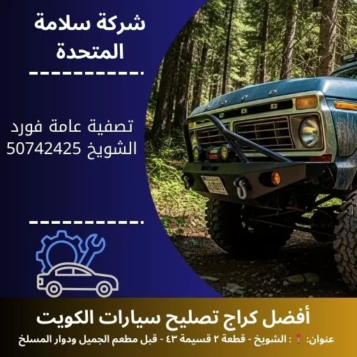 تصفية عامة فورد