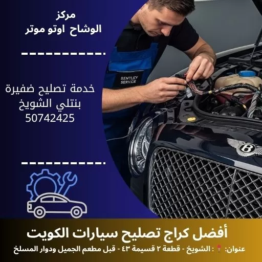 خدمة تصليح ضفيرة بنتلي