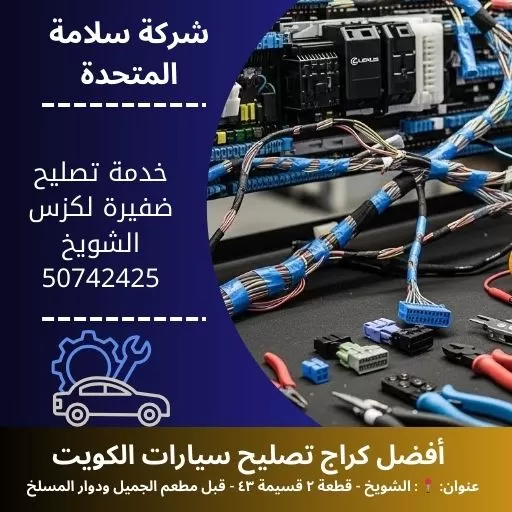 خدمة تصليح ضفيرة لكزس