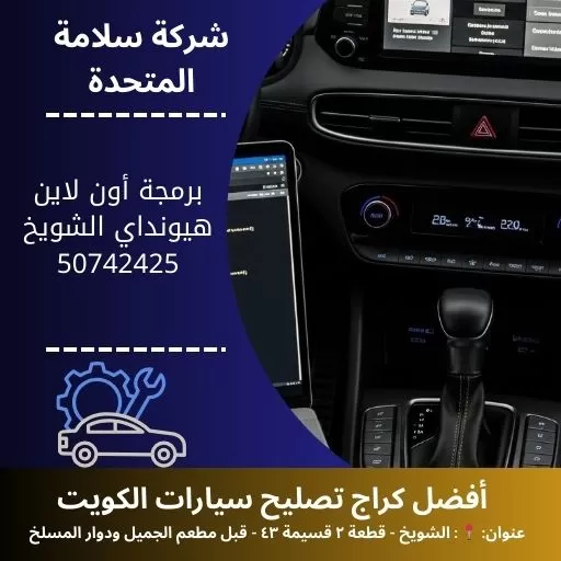 برمجة أون لاين هيونداي