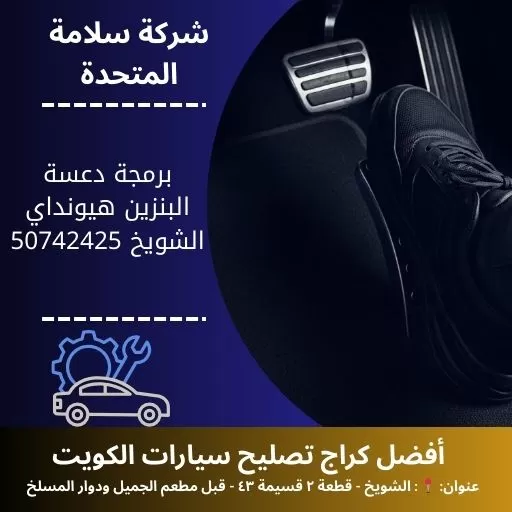 برمجة دعسة البنزين هيونداي