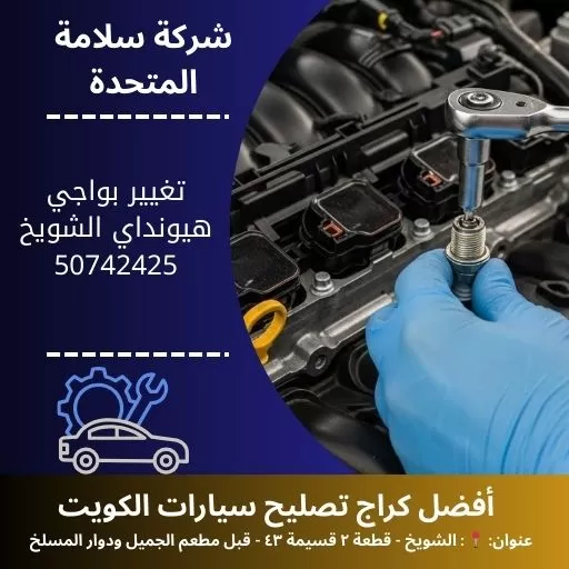 تغيير بواجي هيونداي