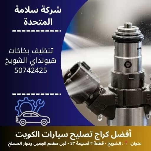 تنظيف بخاخات هيونداي