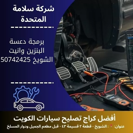 برمجة دعسة البنزين وانيت