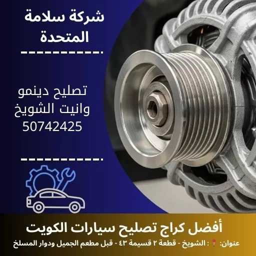 تصليح دينمو وانيت