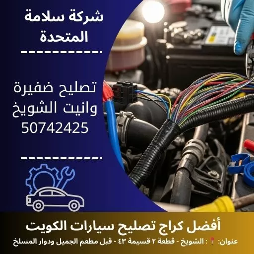 تصليح ضفيرة وانيت