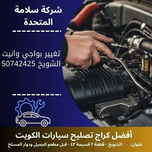 تغيير بواجي وانيت