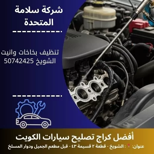 تنظيف بخاخات وانيت