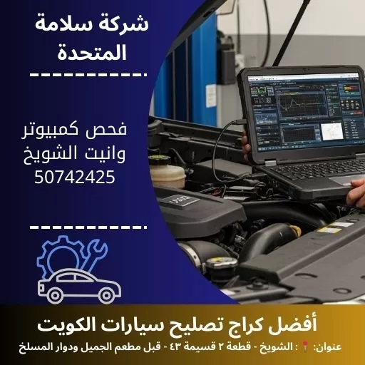 فحص كمبيوتر وانيت